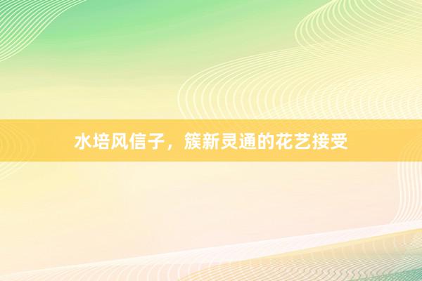 水培风信子，簇新灵通的花艺接受